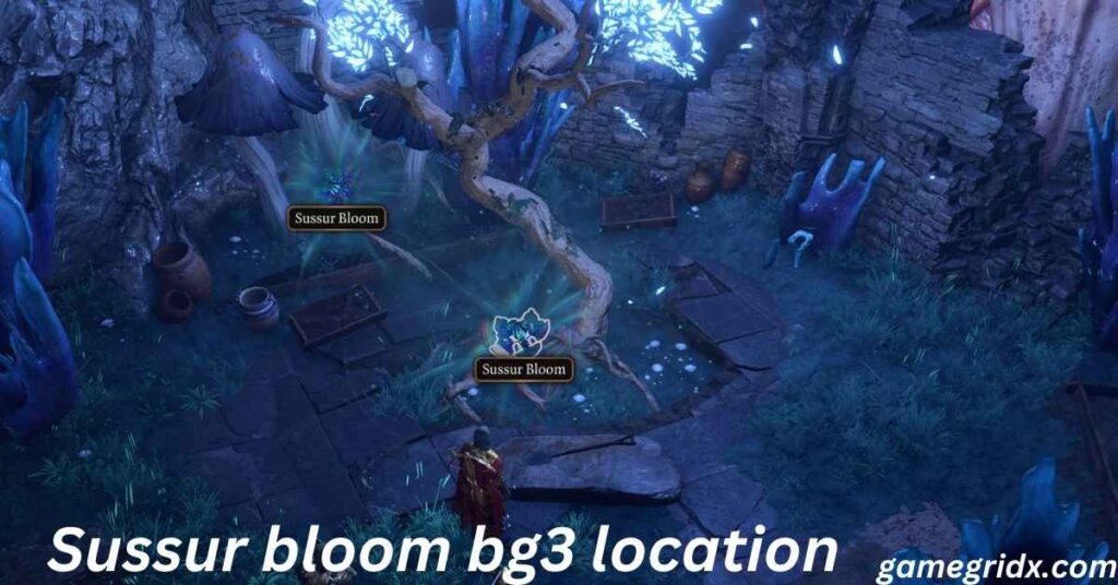 Sussur bloom bg3 location