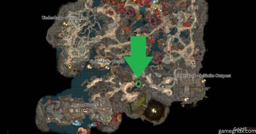 Where to find festering cove bg3 map